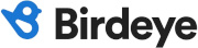 Birdeye Logo